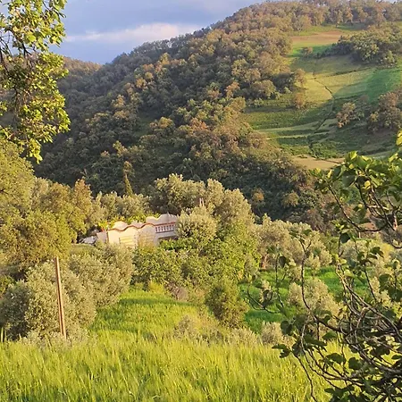 دار الضيافة تازكة Maison D'Hotes Tazekka Taza Exterior photo