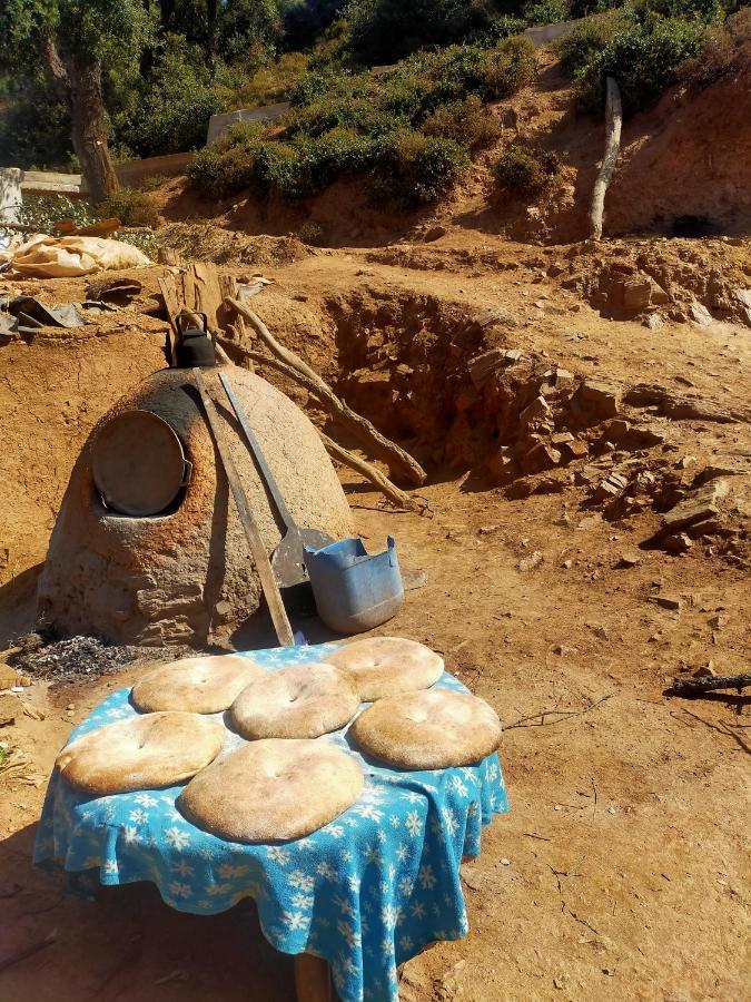 دار الضيافة تازكة Tazekka * Taza