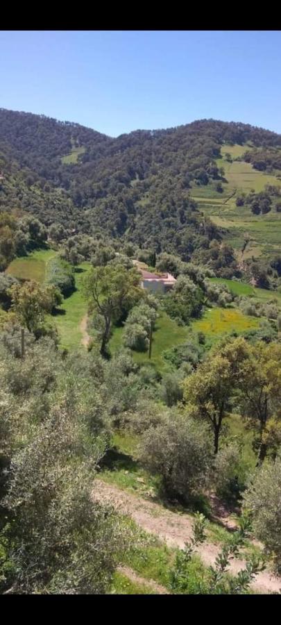 دار الضيافة تازكة Tazekka Holiday home