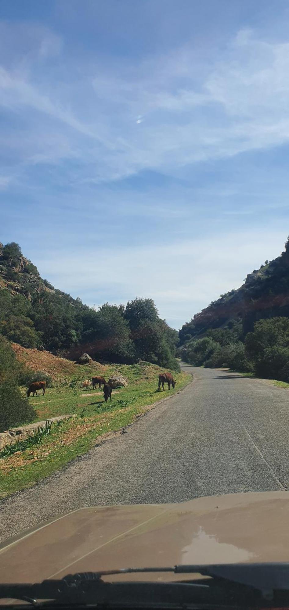 Holiday home دار الضيافة تازكة Tazekka *