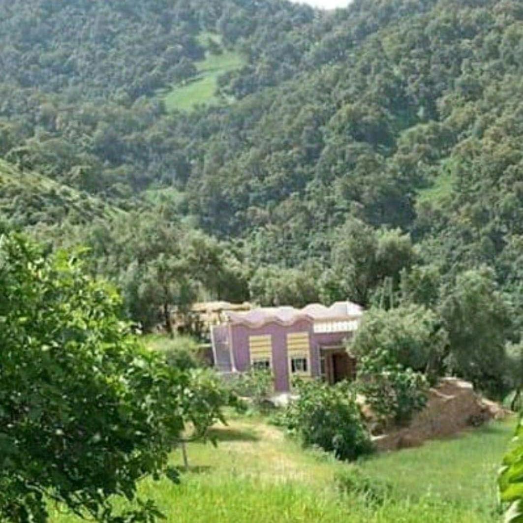 Holiday home دار الضيافة تازكة Tazekka