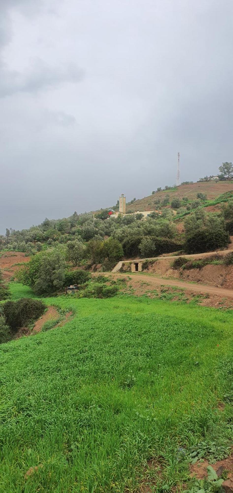 دار الضيافة تازكة Tazekka *