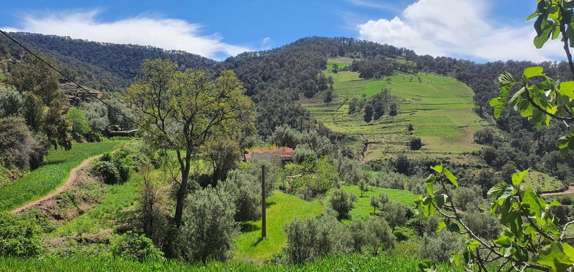 دار الضيافة تازكة Tazekka Holiday home *