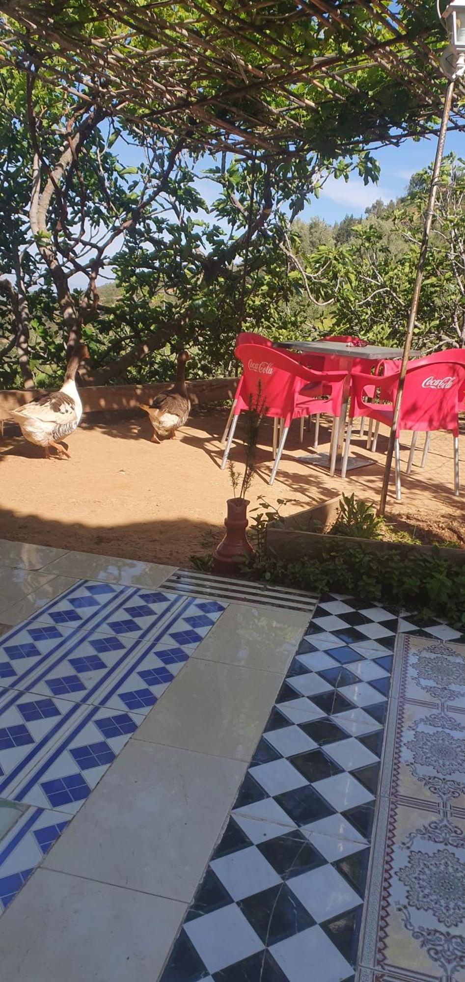 Holiday home دار الضيافة تازكة Tazekka Taza